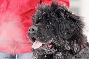 Фотография № 41488