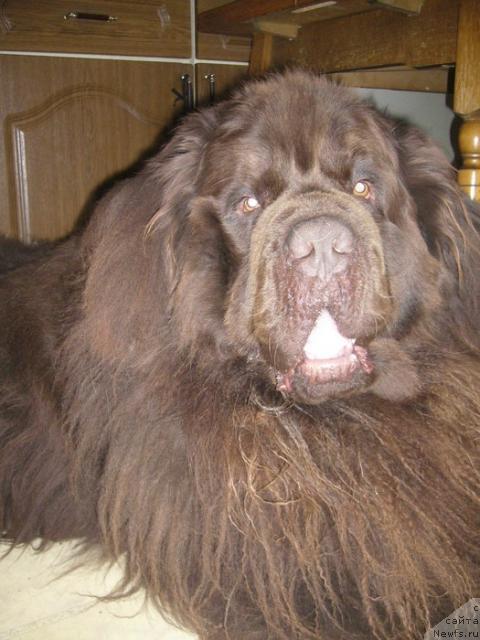 Фотография № 41501