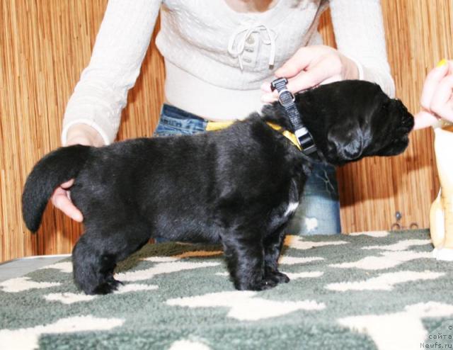 Фото: Бегущая по волнам Харизма