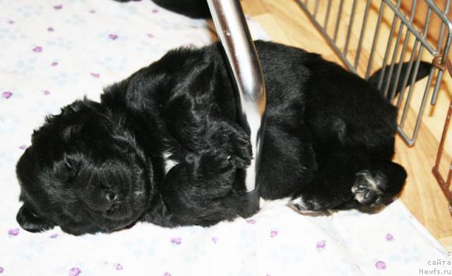 Фото: Бегущая по волнам Харизма