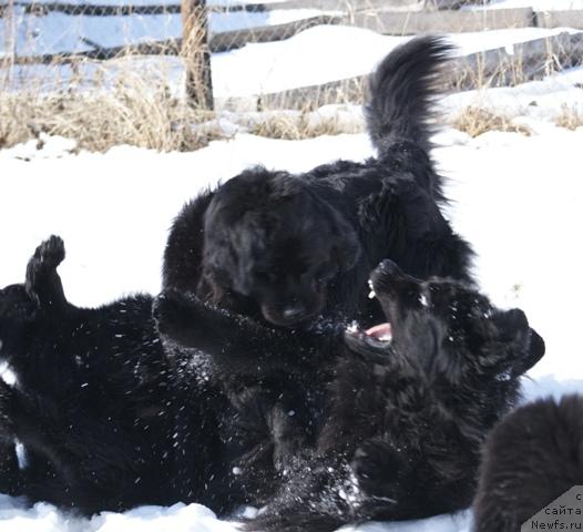 Фотография № 41532