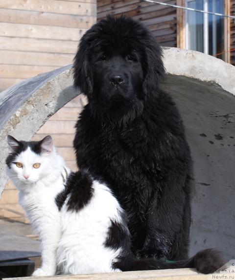 Фотография № 41534