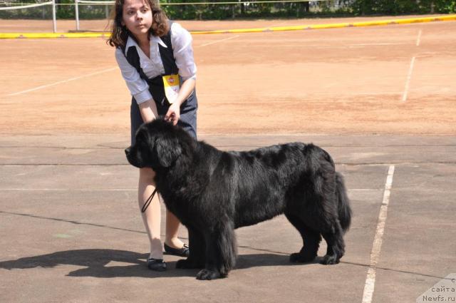 Фотография № 41555