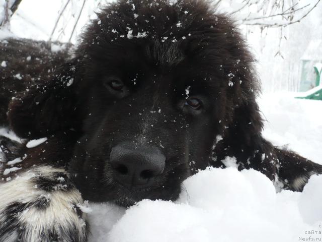 Фото: Inna Rubis (Инна Рубис)