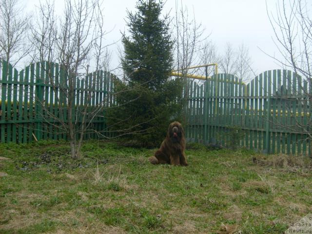 Фотография № 41605