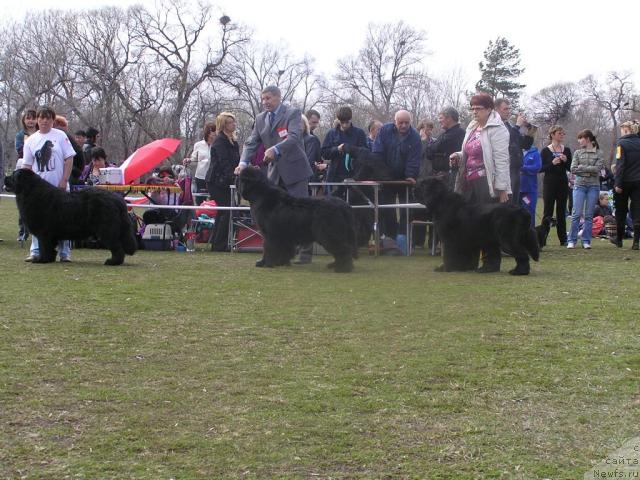 Фотография № 41619