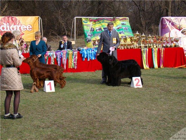 Фотография № 41621