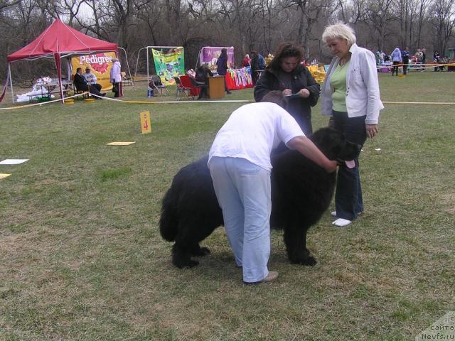 Фотография № 41623