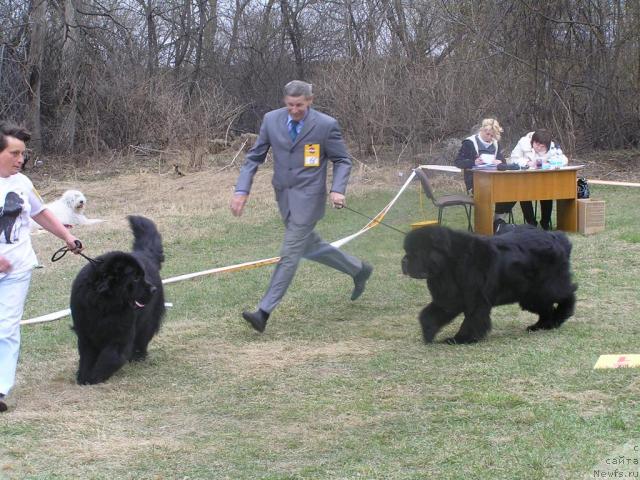 Фотография № 41626