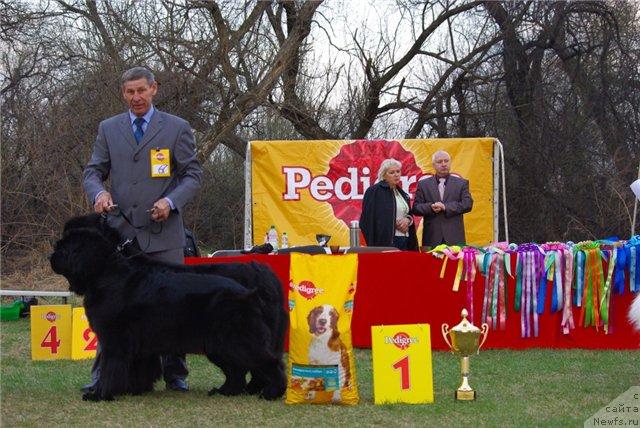 Фотография № 41628