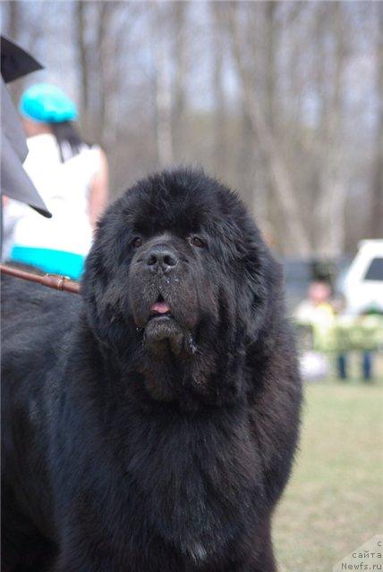 Фотография № 41630