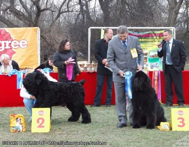 Фотография № 41631