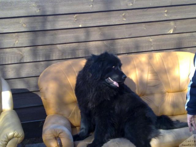 Фото: Nikolay Karpuhin (Николай Карпухин)