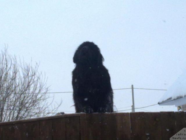 Фото: Nikolay Karpuhin (Николай Карпухин)