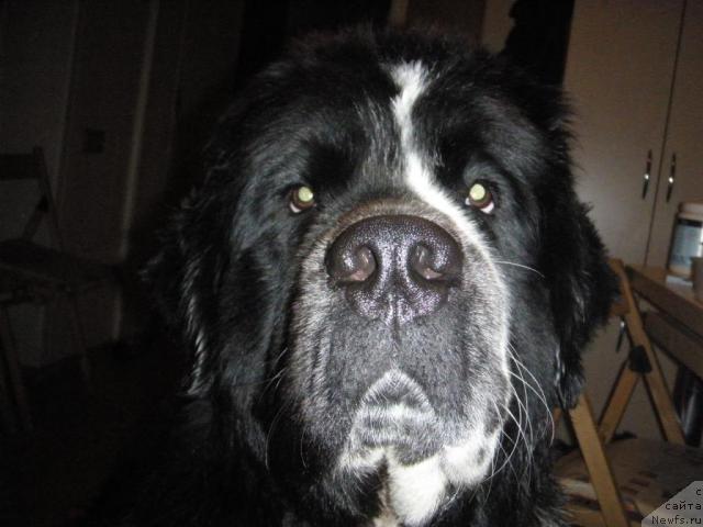 Фотография № 41694