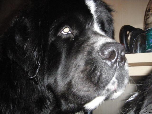 Фотография № 41695