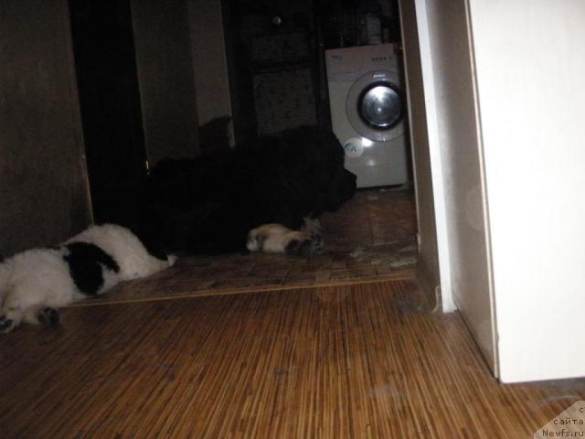 Фотография № 41699