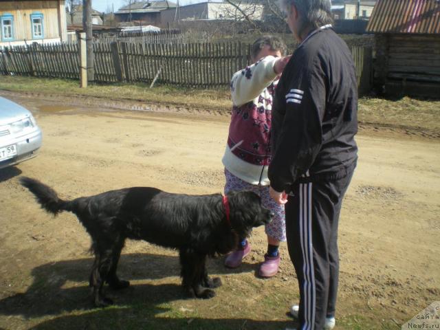 Фото: Нюша, Рита, Marina Filatova (Марина Филатова)