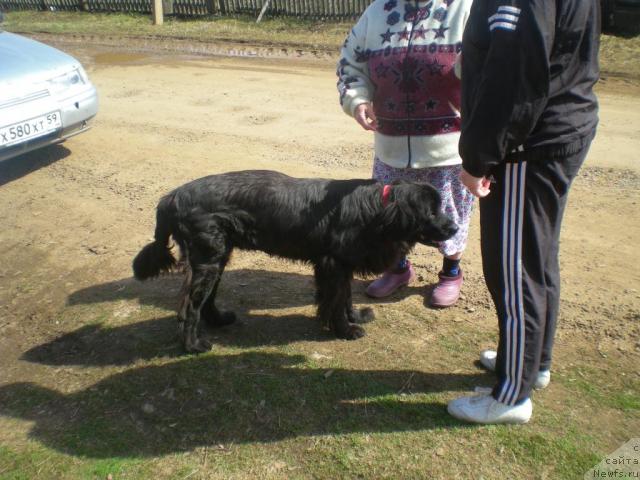 Фотография № 41727