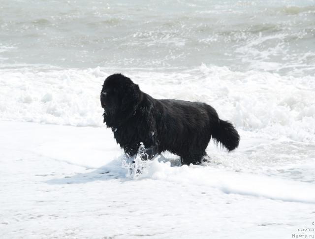 Фотография № 41733