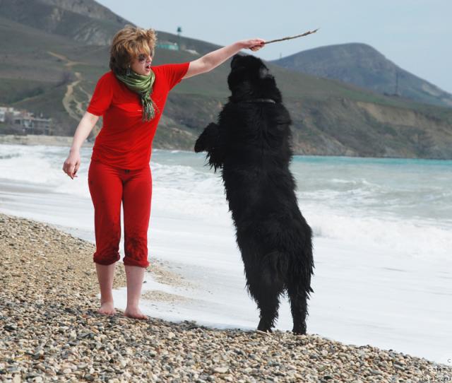 Фотография № 41734