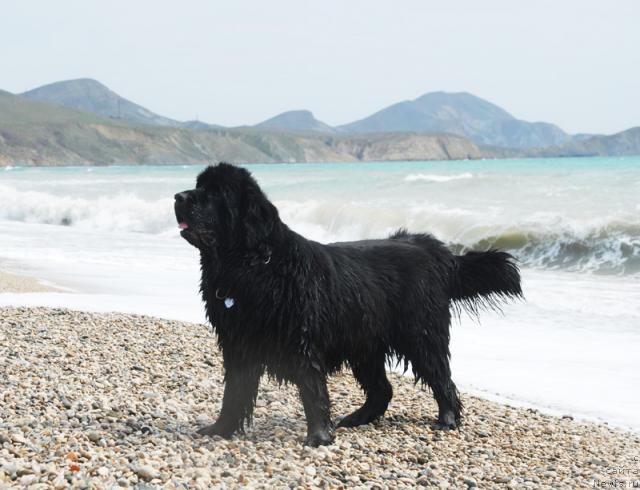 Фотография № 41736