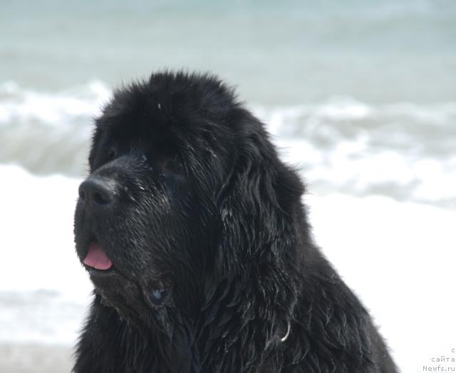 Фотография № 41737