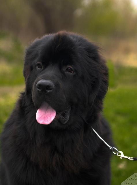 Фотография № 41740