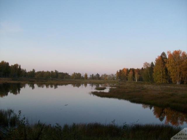 Фото: Natal'ya Berejneva (Наталья Бережнева)