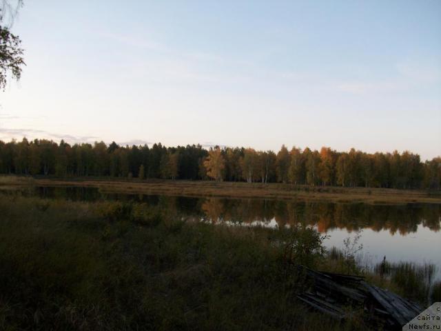 Фото: Natal'ya Berejneva (Наталья Бережнева)