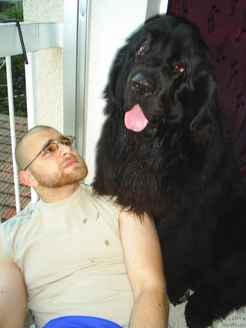 Фото: Il'ya Vinickiy (Илья Виницкий)