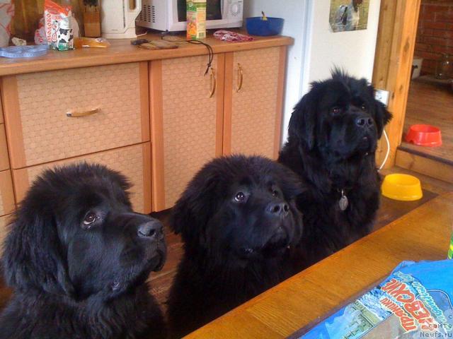 Фотография № 41809