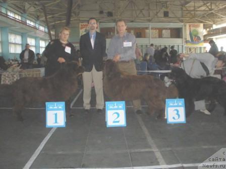 Фотография № 41810