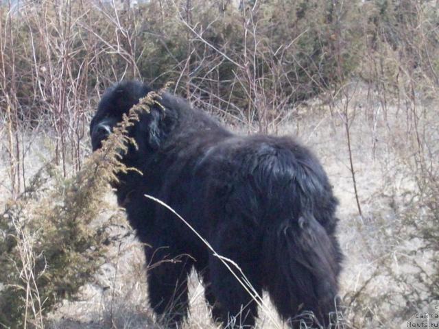 Фотография № 41834