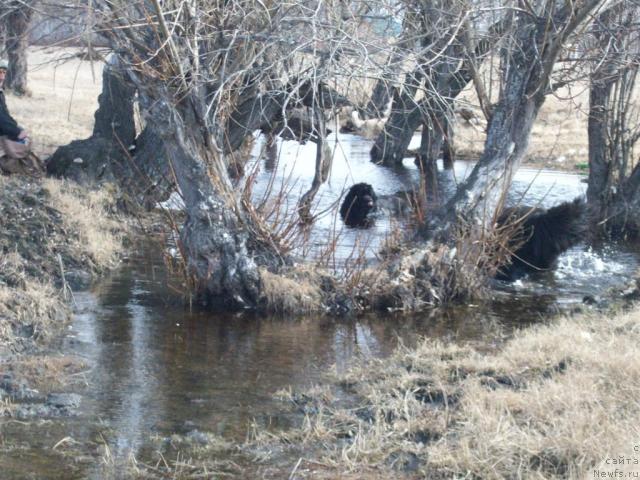 Фотография № 41835