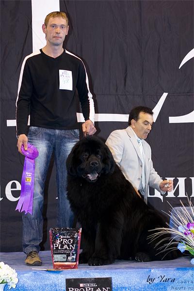 Фотография № 41836