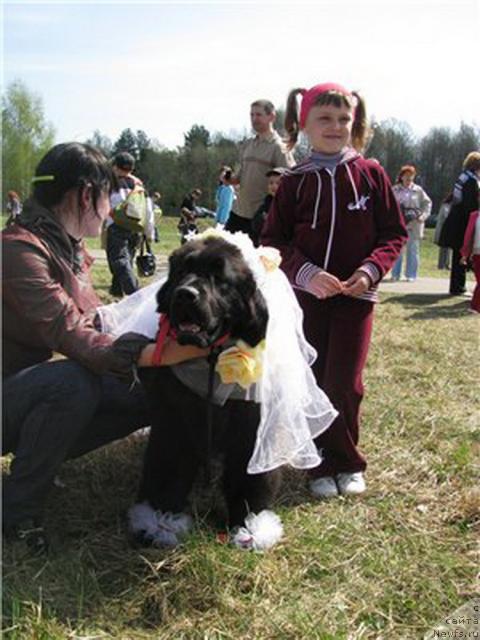 Фотография № 41842