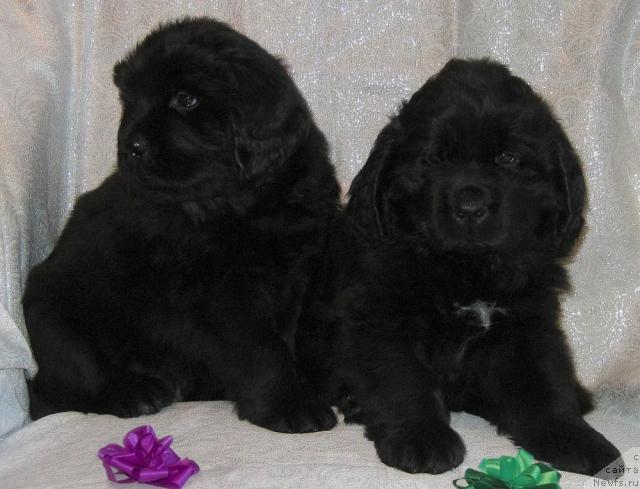 Фото: Наши мальчики