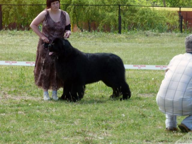 Фотография № 41945