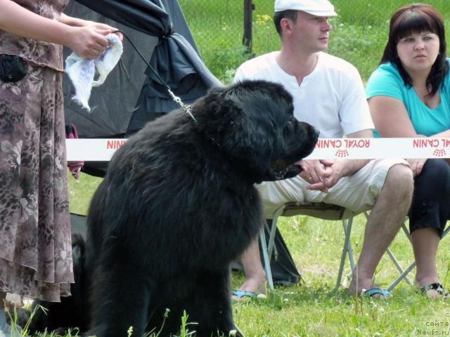 Фотография № 41948