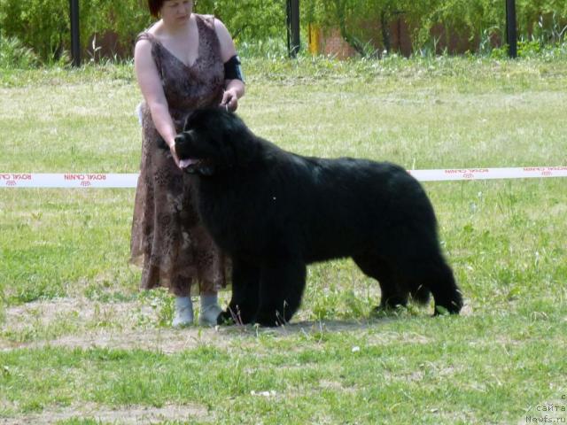 Фотография № 41957