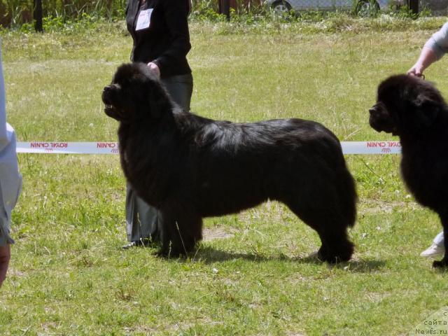 Фотография № 41958