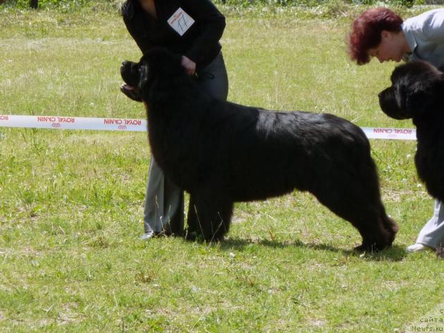 Фотография № 41961