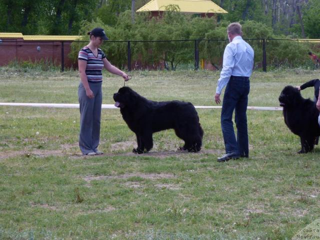 Фотография № 41964