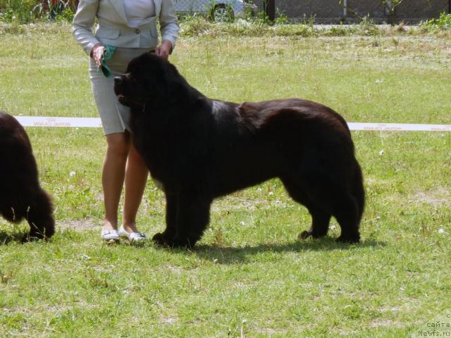 Фотография № 41967