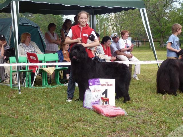 Фотография № 41978