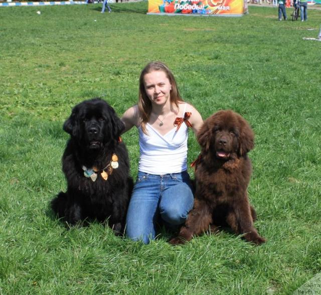 Фотография № 41982