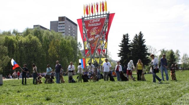 Фото: Участники показательных выступлений, ньюфаундленд Chernyi Sharm Angel'skaya Krasota (Черный Шарм Ангельская Красота)