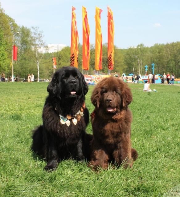 Фотография № 41997