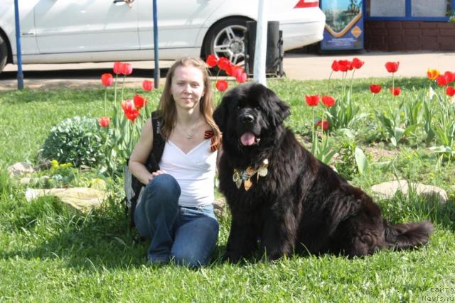 Фотография № 41999